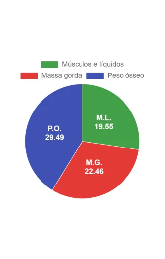 Imagem de como a série funciona no aplicativo